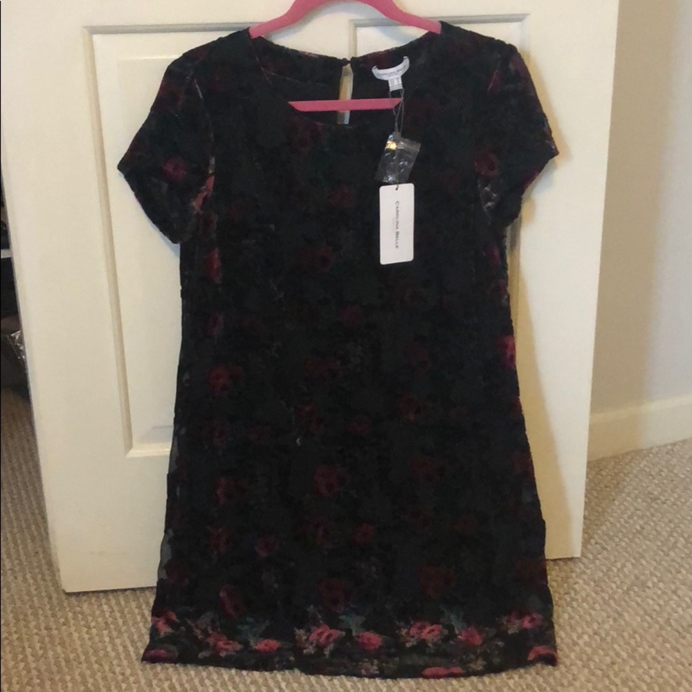 NWT Carolina Belle Shift Dress